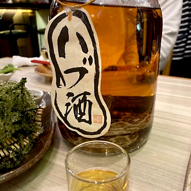外食のお酒の写真
